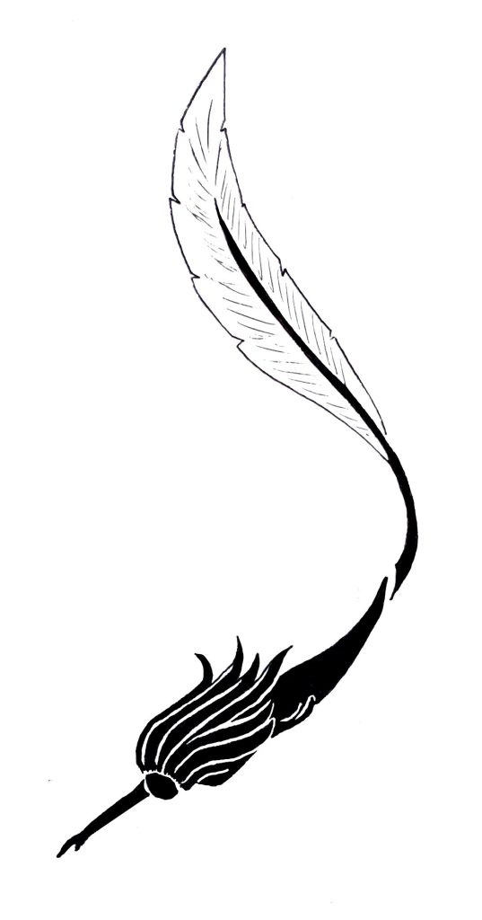 NAP logo clean